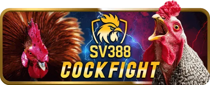 Hướng dẫn chọn súng và đạn trong game bắn cá