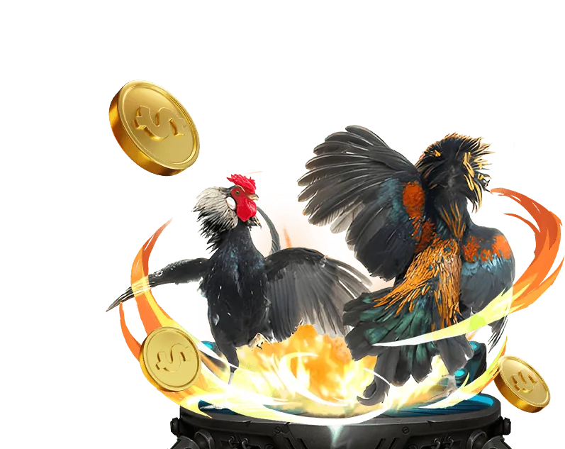 Đấu trường đá gà truyền thống tại galaxy6623 casino
